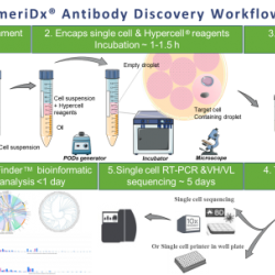 AmeriDx® Comprehensive Antibody Discovery Services (HyperCell Systems)