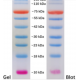 Prestained Protein Marker, 55-320kDa