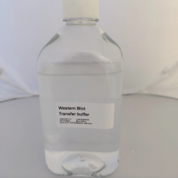 Western Blot Transfer Buffer (500mL)