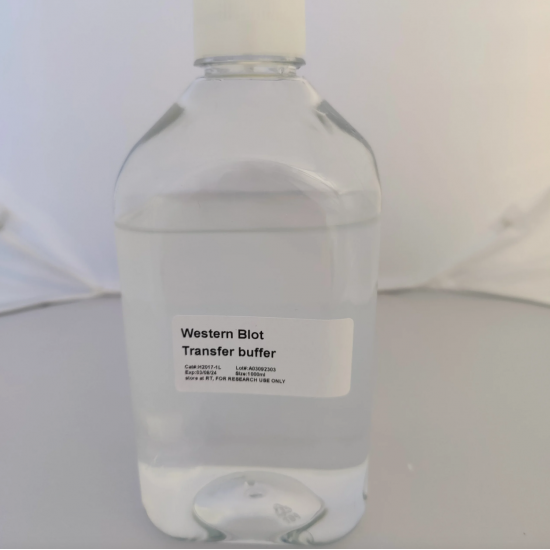 Western Blot Transfer Buffer (500mL)