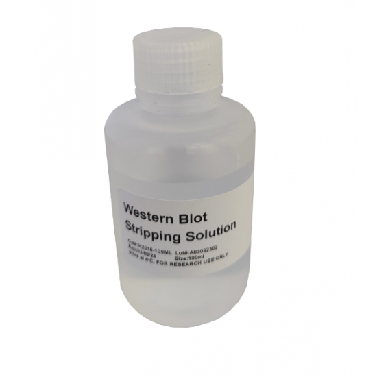 Western Blot Stripping Solution