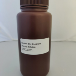 Membrane Staining Solution (100mL)