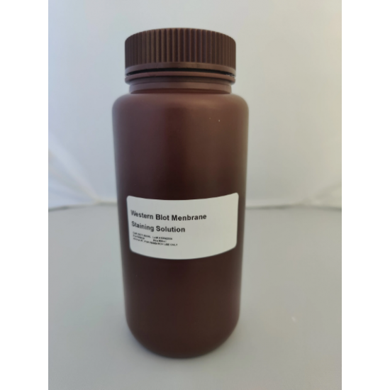 Membrane Staining Solution (100mL)