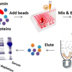 Quick Albumin Removal Kit