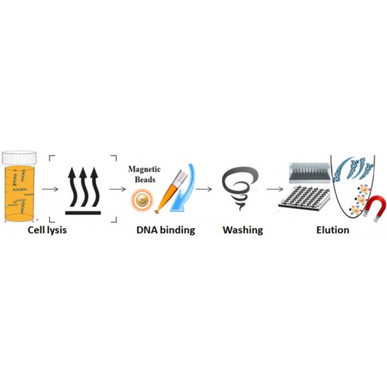 One-Step Cell-Free DNA Purification Kit