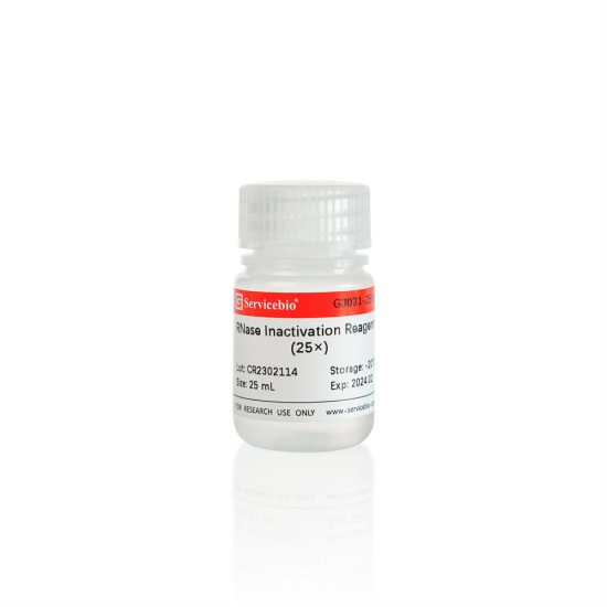 RNase Inactivating Solution (25×) 25mL