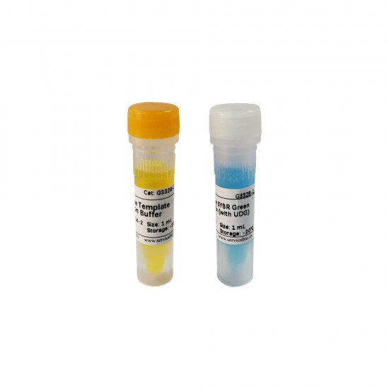 2×Universal Blue SYBR Green qPCR Master Mix (with UDG) 1mL