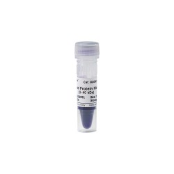 Prestained Protein Marker Ⅸ (2-40 kDa) 250 μL