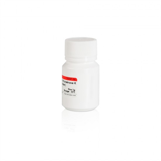 Recombinant Proteinase K (Powder) 1g