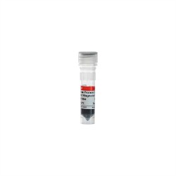 SweMagrose Protein G (1 mL)