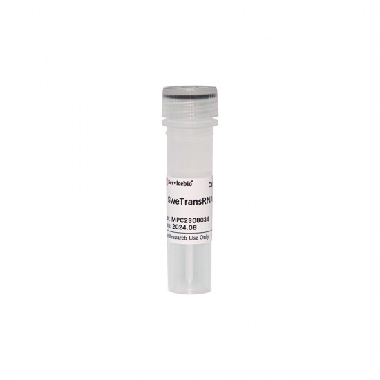 SweTransRNA Transfection Reagent 0.5ml