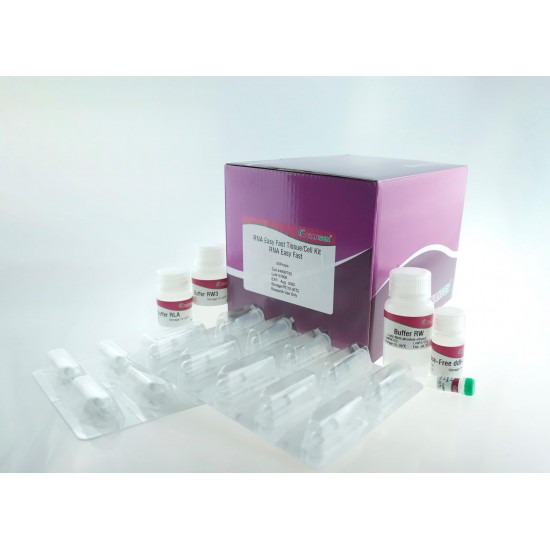 RNA Easy Fast Tissue/Cell Kit