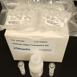 AmeriDx Oligo Antibody Conjugation Kit