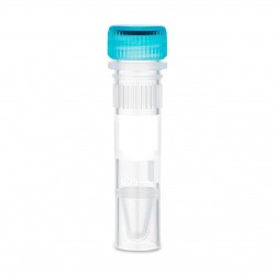  Human IFN gamma Animal-Free Recombinant Protein