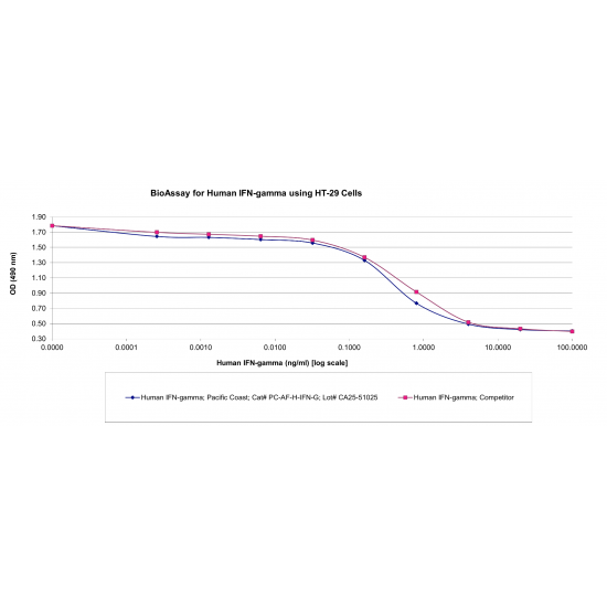 Human IFN gamma Animal-Free Recombinant Protein Human IFN gamma Animal-Free Recombinant Protein
