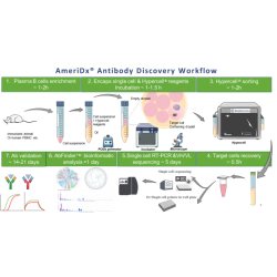 AmeriDx® Comprehensive Antibody Discovery Services (HyperCell Systems)