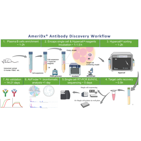 AmeriDx® Comprehensive Antibody Discovery Services (HyperCell Systems)