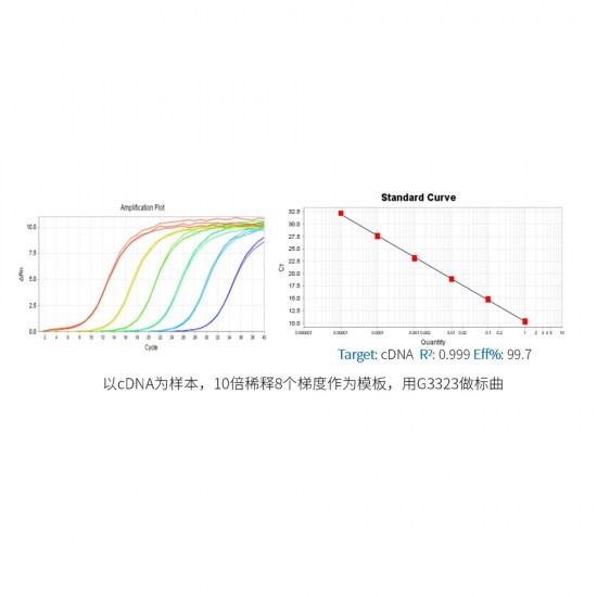 2 × Fast SYBR Green qPCR Master Mix (None ROX) 1mL