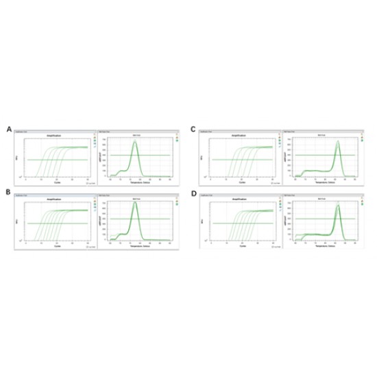 2 × SYBR Green qPCR Master Mix (High ROX) 1mL