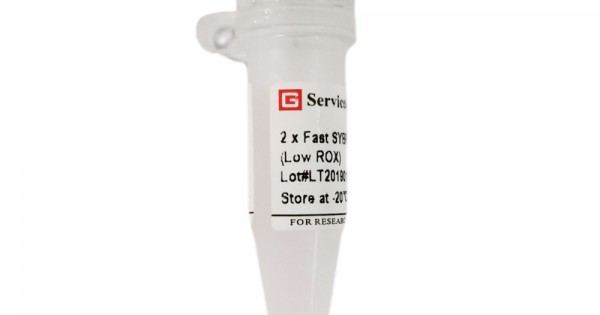 2 × Fast SYBR Green qPCR Master Mix (Low ROX)