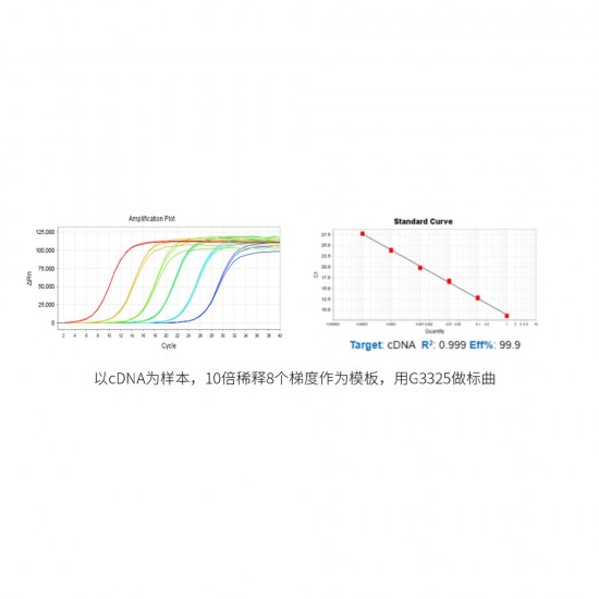 2 × Fast SYBR Green qPCR Master Mix (High ROX) 1mL