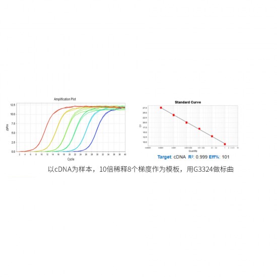 2 × Fast SYBR Green qPCR Master Mix (Low ROX) 1mL