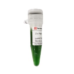 2×Fast sTaq PCR Master Mix (1 mL)