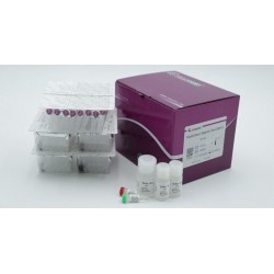 EndoFree Mini Plasmid Kit