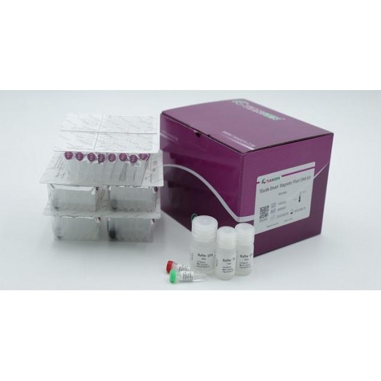EndoFree Mini Plasmid Kit