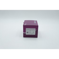 EndoFree Maxi Plasmid Kit V2