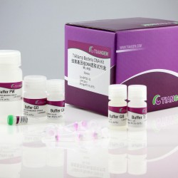 EndoFree Midi Plasmid Kit (10 preps)