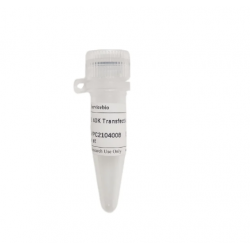 PEI Transfection Reagent