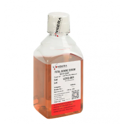 Fetal Bovine Serum (FBS), (Premium)