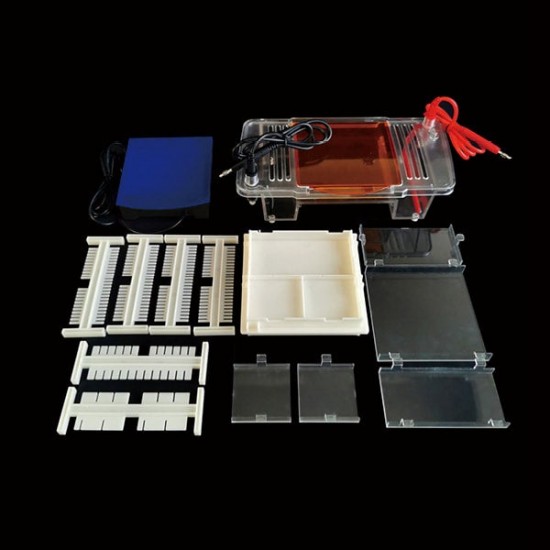Integrated Horizontal Electrophoresis System