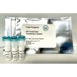 Hi-DNATrans Transfection Reagent (0.75 mL)