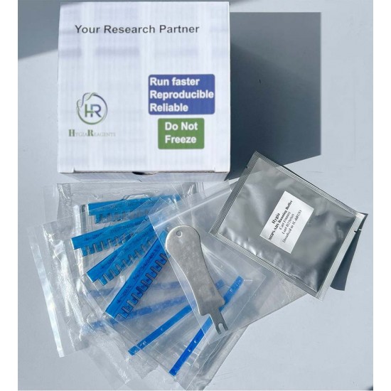 Pre-casted Protein Gel (HG-PAGE™)