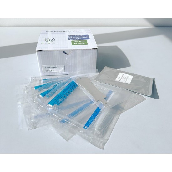 Pre-casted Protein Gel (HG-PAGE™)