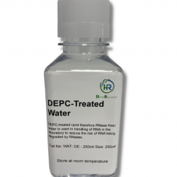 DEPC treated Water